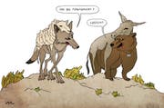 Der Bär gibt dem Wolf Tipps.