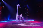 Premiere des Zirkus Nock 2008 auf der Allmend in Luzern. Franziska und Alexandra Nock in der Manege. (Bild: Adrian Stähli/Archiv LZ)