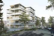 Der Neubau an der Würzenbachmatte. (Visualisierungen: Hanspeter Oester Reto Pfenninger Architekten AG, Zürich)