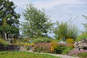 Im Schaugarten der Biogärtnerei Neubauer in Erlen. (Bild: PD)