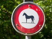 Pferdekutschen dürfen in Berlin künftig nicht mehr fahren, wenn Temperaturen von 30 Grad im Schatten und mehr erreicht sind. (Bild: KEYSTONE/GAETAN BALLY)