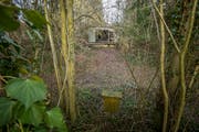 Ein Bild aus früheren Tagen: Der Wald und die verlotterten Baracken auf der Stadtparzelle an der Irseestrasse. Heute ist das Gelände gerodet. (Bild: Reto Martin)