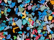 Beim Verwittern und durch Abrieb kann Plastik in winzige Teile zerbröckeln. So gelangt das Mikroplastik auch leicht in die Mägen von Fischen und anderen Organismen. (Bild: Bernd Nowack / Empa)