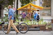 Am St.Galler Ökomarkt. (Bild: Urs Bucher - 15. September 2016)