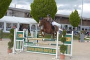 Carmen Illi unterwegs im Parcours mit dem zehn Jahre alten Holsteiner Hengst Colino CM. (Bild: Michael Wyss (Hildisrieden, 10. Mai 2019))
