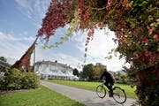 Ein praktisches Beispiel wie Kletterpflanzen «arbeiten» aus dem St.Galler Alltag: Die Pflanzgerüste auf dem Unteren Brühl zwischen Tonhalle und Sportplatz der benachbarten Schulhäuser. (Bild: Urs Jaudas - 29. September 2010)
