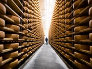 Er findet seit zehn Jahren zunehmenden Absatz: Schweizer Käse, hier Greyerzer in einem Keller in Charmey FR. (Bild: KEYSTONE/JEAN-CHRISTOPHE BOTT)