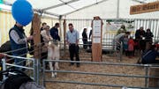 Die Landwirte zeigten einige Tiere. (PD)
