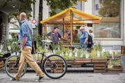 Am Ökomarkt können sich Hobbygärtner unter anderem mit biologischen Setzlingen eindecken. (Bild: Urs Bucher - 15. September 2016)