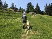 Mit dem Papa und den Rindern auf die Alp. (Bild: Katharina Rutz)