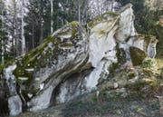Der sagenumwobene Chindlistein bei Heiden aus Sandstein. (Bild: Georg Aerne)