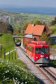 Auch die Strecke Rheineck-Walzenhausen wird überprüft. (Bild: Christoph Sonderegger)