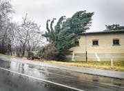 Orkan Burglind fällte Bäume, wie hier in Frauenfeld, und hinterliess auch sonst ein Bild der Verwüstung. (Bild: Samuel Koch, 3. Januar 2018)