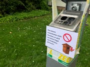 Ein Vogel nistet in Frauenfeld in einem Aschenbecher. (Bild: Géraldine Bohne)