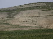 Bauern auf einem völlig ausgetrockneten Feld in Nordkorea. (Bild: Keystone/AP/WONG MAYE-E)