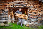 Der Bär gehört zu den häufigsten Motiven des Holzschnitzers.