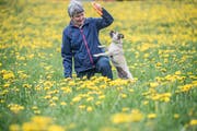 Katharina Huter (71) mit Hund Juna auf dem täglichen Spaziergang. (Bild: Nadia Schärli, Hitzkirch, 16. April 2019)