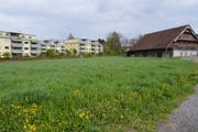 Die Scherermatte in Hochdorf: Auf dieser Wiese sollen Parkplätze entstehen. (Bild: Ernesto Piazza, Hochdorf, 2. Mai 2019)