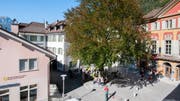 Wird der Treffpunkt «beim Baum» vereinbart, wissen Urner, wohin sie müssen. (Bild: PD)