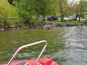 Das Feuerwehrboot nähert sich dem Rind. (Bild: feuerwehr-lauerz.ch)