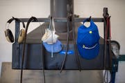 Arbeitsutensilien, fein säuberlich bereitgelegt. (Bild: Benjamin Manser)