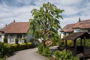 Auch zum Lindenweg-Quartier in Buchrain sind viele Rückmeldungen eingegangen. (Bild: Dominik Wunderli, Buchrain, 22. Mai 2019)