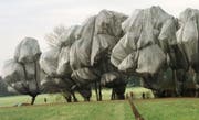 Das Projekt «Wrapped Trees» des Künstlerehepaars Christo und Jeanne-Claude im Park der Fondation Beyeler. Die Seile mit einer Länge von 23 Kilometern zur Fixierung der Verpackung der 163 Bäume stellte die Textilfirma Meister & Cie AG her. (Bild: Winfried Rothermel/AP, Riehen, 1. November 1997)