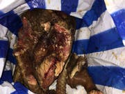 «En Guete»: Das in Zürich sichergestellte Buschfleisch. Sichtbar sind noch die Schuppen des Weissbauchschuppentiers, einer geschützten Tierart. (Bild: Eidg. Zollverwaltung)