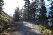 Der Jugendliche stürzte 200 Meter in die Tiefe- (Bild: Kantonspolizei Graubünden)
