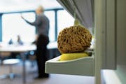 Jedes Kind individuell abzuholen und zu fördern, bringt die Lehrer an die Grenzen ihrer Belastbarkeit – vor allem, wenn in der Klasse mehrere verhaltensauffällige Kinder sitzen. (Bild: Gaëtan Bally/Keystone)