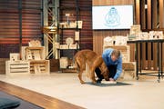 Das Anfreunden mit dem Hund von Investor Tobias Reichmuth nützte nicht: Martin Sailer erhielt kein Geld für Anteile an seiner Firma. (Bild: PD)