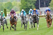 Im GP Turf Club sind alle Pferde bei beieinander. «Bimini Twist» (Zweiter von rechts) gewinnt gegen Schimmel «Vardak »(Mitte). (Bild: Donato Caspari)
