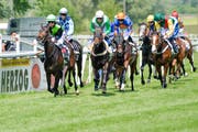 Das dritte Rennen des Tages kann die Stute «Thalissa »(Mitte, Jockey mit grün-weissem Dress) gewinnen. (Bild: Donato Caspari)