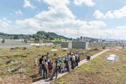 Das naturnah gestaltete Flachdach der Migros-Betriebszentrale Gossau bietet nicht nur Platz für fünf Bienenvölkern, hier nistet sogar noch der Kiebitz. (Bild: PD/Fabian Meyer)