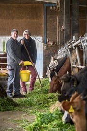 Sandra und Richard Reinhart füttern die Kühe des Weiherhofes in Amriswil.