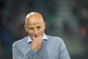 Peter Zeidler ist seit einem Jahr Trainer des FC St.Gallen. (Bild: Urs Bucher)