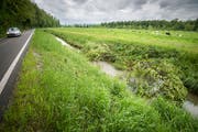 Entlang des Furtbachs zwischen Bussnang und Amlikon wurden erneut fünf Bäume mutwillig gefällt. (Bild: Reto Martin)