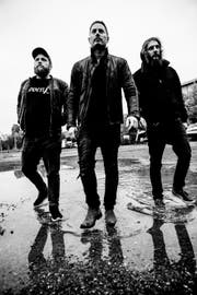 Die Konzertsaison startet mit dem Trio Sons of Morpheus. (Bild: PD)