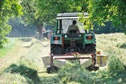 67 Bauernbetriebe mussten im vergangenen Jahr in der Ostschweiz aufgeben. Hingegen steigt die Zahl der Beschäftigten in der hiesigen Landwirtschaft wieder leicht an. (Bild: Donato Caspari)