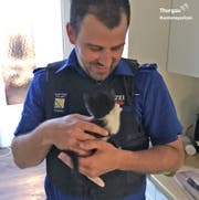 Happy End nach einer halben Stunde: Die Polizisten konnten das Kätzchen unbeschadet befreien. (Bild: Kapo Thurgau)