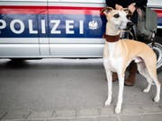 Die Kriminalpolizei fahndete mit Hochdruck nach dem mutmasslichen Täter im Familiendrama von Genf - am Freitagabend konnte sie ihn festnehmen. (Bild: KEYSTONE/APA/APA/GEORG HOCHMUTH)