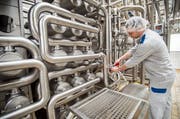 Gemeinden mit einer starken Wirtschaft verlieren durch die Senkung der Gewinnsteuern am meisten: Hochdorf Swiss Nutrition AG, Sulgen. (Bilder: Reto Martin)
