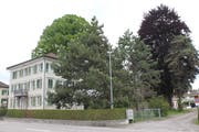 Die denkmalgeschützte Liegenschaft Wilerstrasse 82 mit der geschützten Linde (links) und der bedrohten Blutbuche (rechts). (Bild: Andrea Häusler)