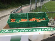 (Bild: Daniel Walt)