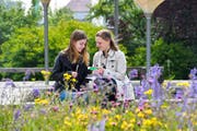 Alexandra Knöpfel und Ellen Zwinggi haben von «Schweizer Jugend forscht» die Auszeichnung «sehr gut» für Ihre Wettkampfsarbeiten erhalten. (Bild: Donato Caspari)