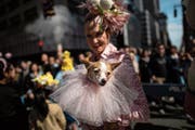 Menschen leisten sich immer mehr Aufwand für ihre Tiere: Halterin mit Hund an der New Yorker Oster-Parade. Bild: Johannes Eisele/AFP (21. April 2019)
