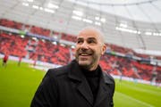 Peter Bosz bringt nichts so schnell aus der Ruhe. (Bild: Rolf Vennenbernd/Keystone, Leverkusen, 2. März 2019)