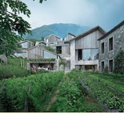 Visualisierung des geplanten Hotel-Appartements «Village Gardens». Bild: Augur Invest AG