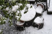 Fast 20 Zentimeter Neuschnee fielen in der Stadt St.Gallen. So viel, wie noch nie im Monat Mai. (Bild: Michel Canonica)