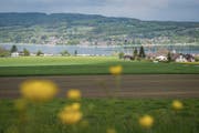 Auf dem Wies- und Ackerland im Vordergrund könnte der neue Sportplatz gebaut werden, weiter hinten die aktuelle Anlage. (Bild: Reto Martin)